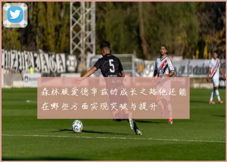 森林狼爱德华兹的成长之路他还能在哪些方面实现突破与提升
